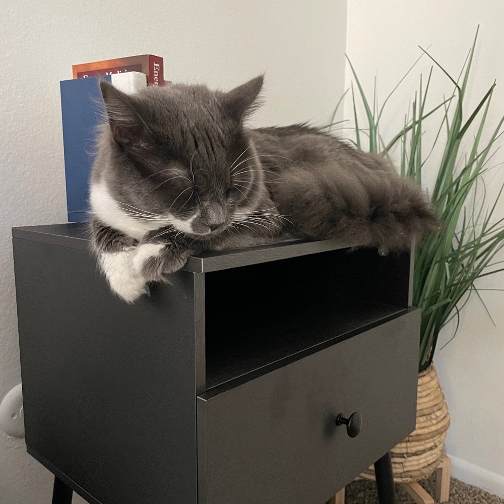 Meet your Posher, Laura